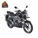 Suzuki-Bandit-Dual-Channel-ABS